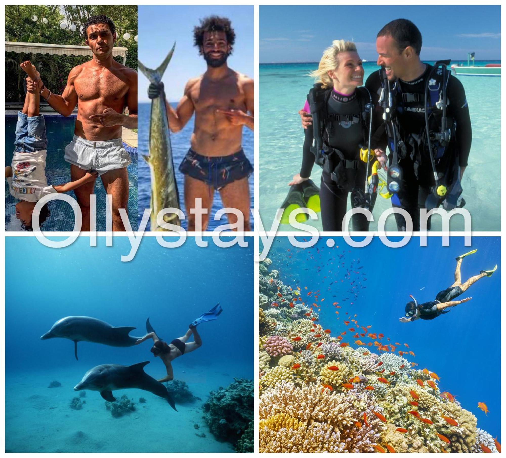 Ollystays Mangroovy 1 Bedroom Beach And Pool Free Access Χουργκάντα Εξωτερικό φωτογραφία
