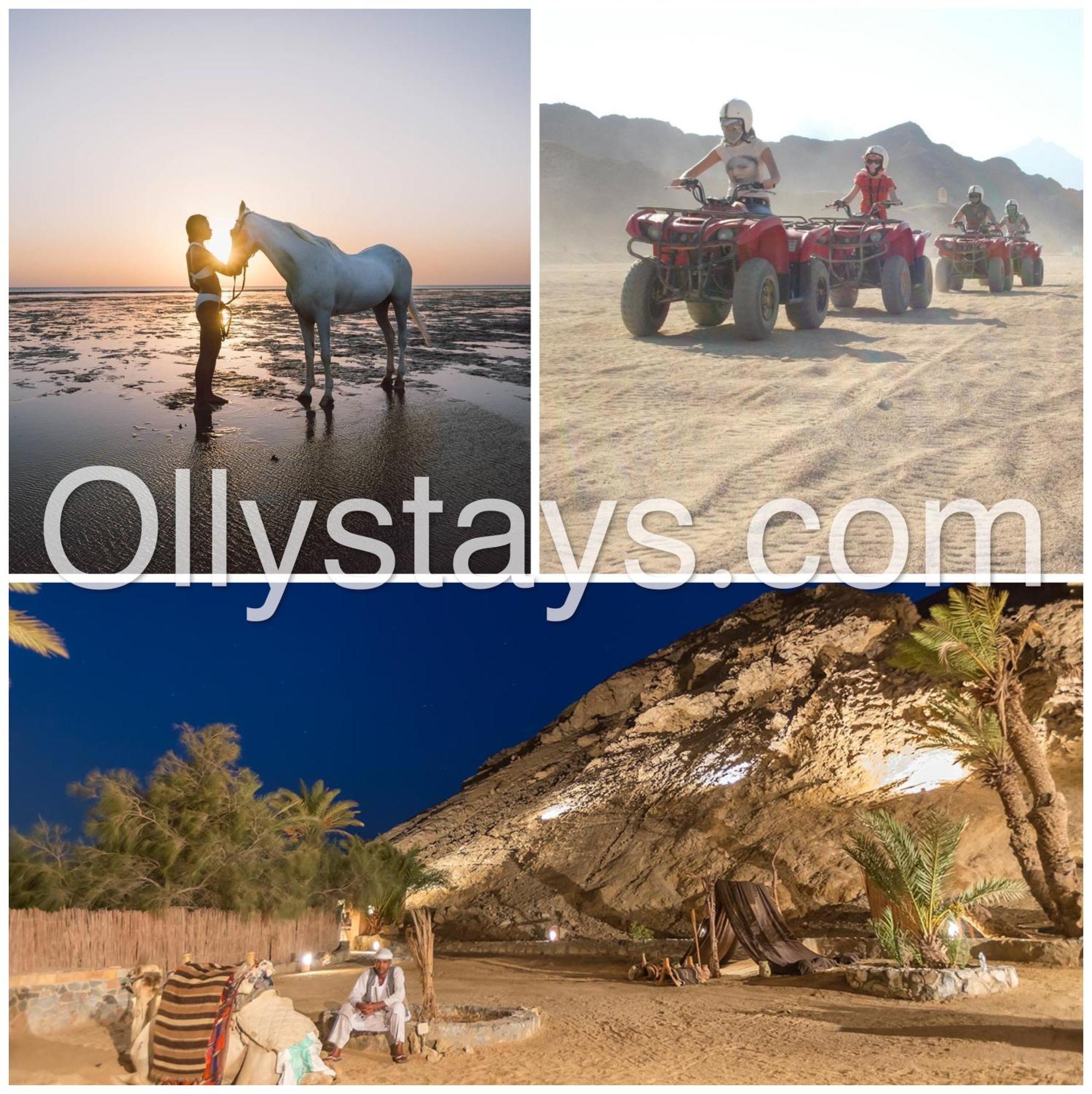 Ollystays Mangroovy 1 Bedroom Beach And Pool Free Access Χουργκάντα Εξωτερικό φωτογραφία
